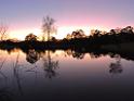27072015sf Hunter Valley_DSCN9879